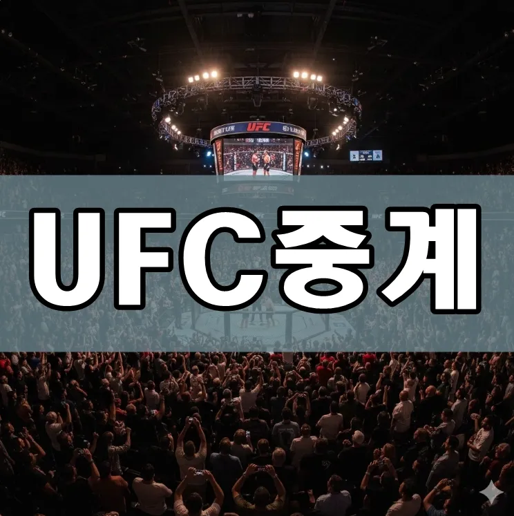 UFC중계