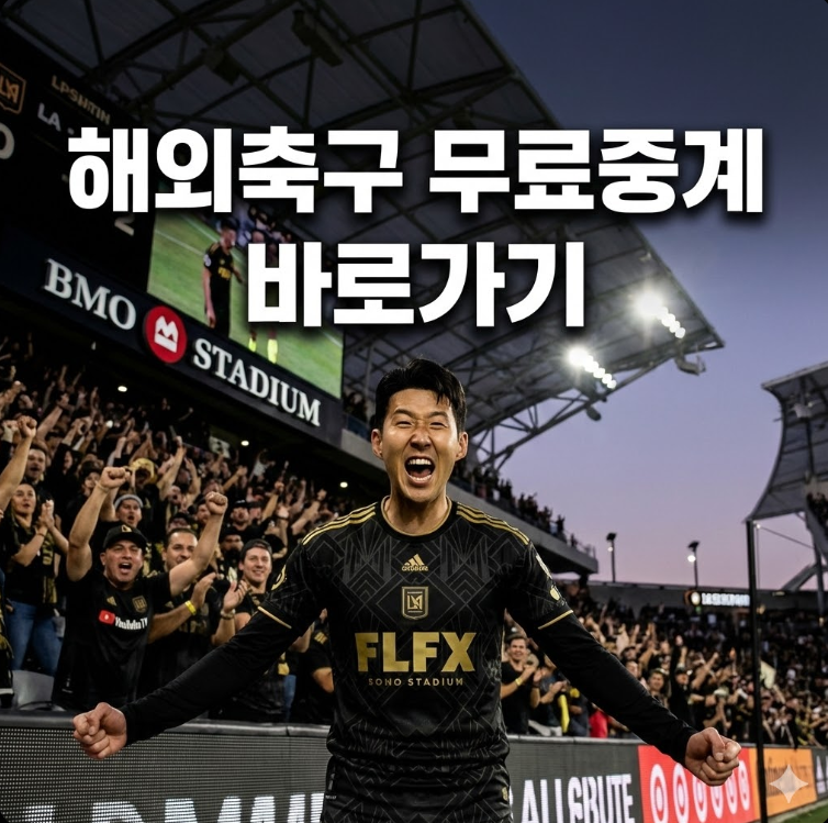 해외축구 중계